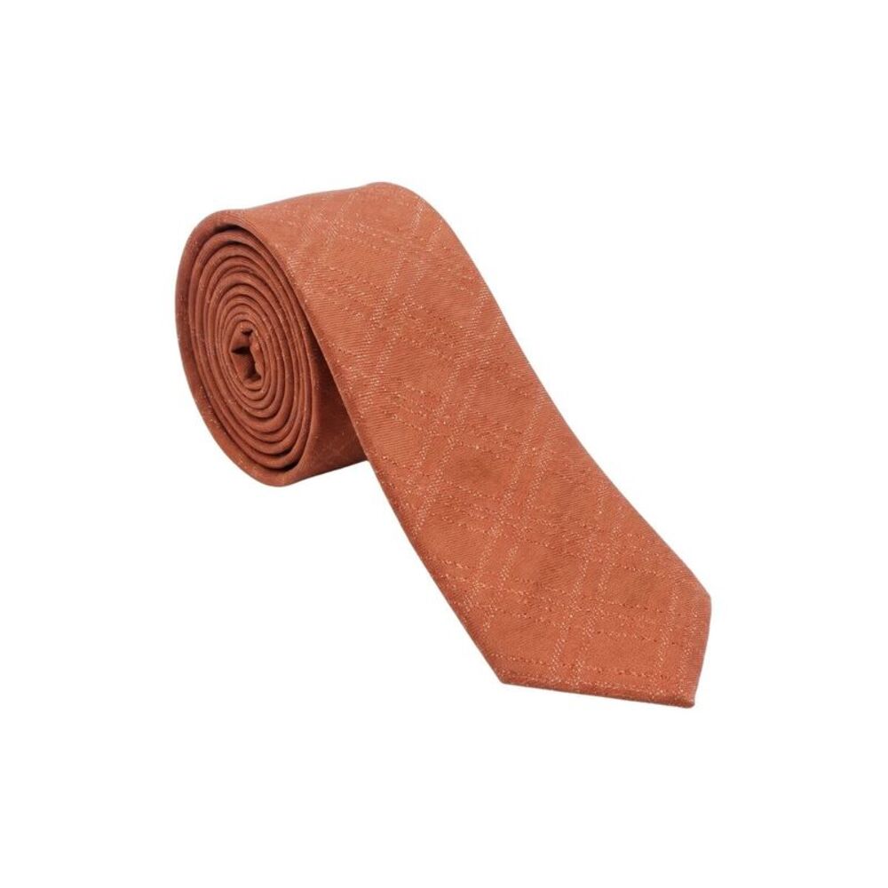 Armani Collezioni Mens Burnt Orange Textured Neck Tie